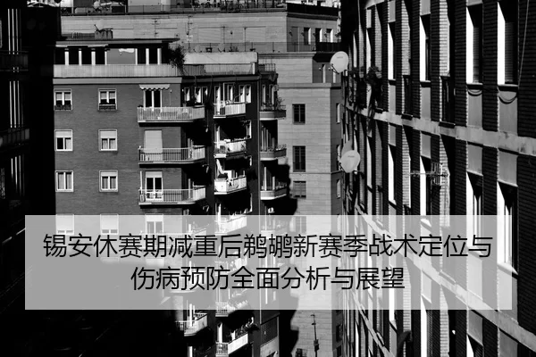 锡安休赛期减重后鹈鹕新赛季战术定位与伤病预防全面分析与展望